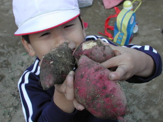img0013.jpg