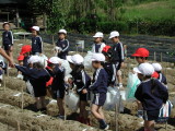 img0001.jpg