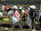 img0002.jpg