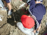 img0004.jpg