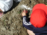 img0005.jpg