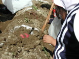 img0006.jpg