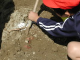 img0009.jpg