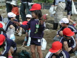 img0010.jpg