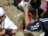 img0011.jpg