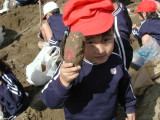 img0012.jpg