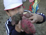 img0013.jpg