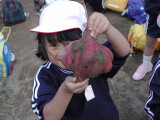 img0015.jpg