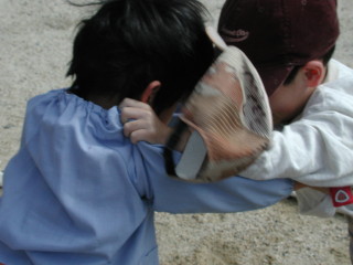 img0010.jpg