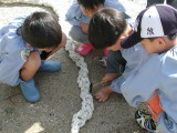 img0002.jpg