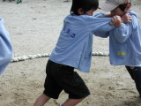 img0013.jpg