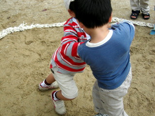 img0010.jpg