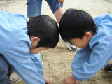 img0009.jpg
