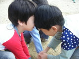 img0010.jpg