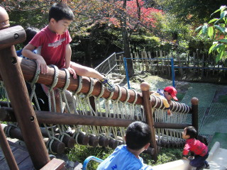 img0005.jpg