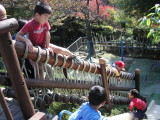 img0005.jpg