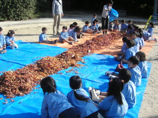 img0000.jpg