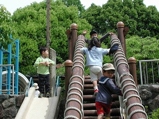img0008.jpg