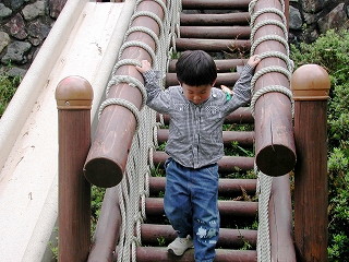 img0009.jpg