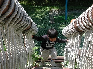 img0010.jpg