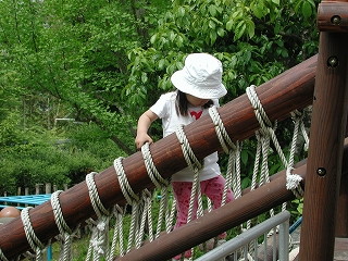 img0011.jpg