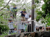 img0004.jpg