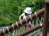 img0011.jpg