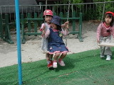 img0019.jpg