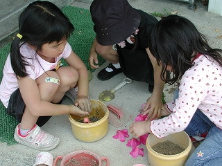 img0019.jpg
