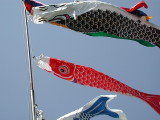 img0002.jpg
