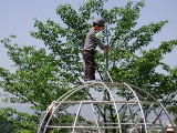 img0003.jpg