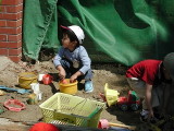 img0005.jpg
