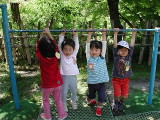 img0016.jpg