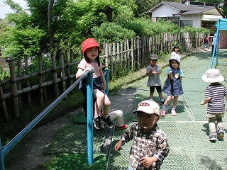 img0013.jpg