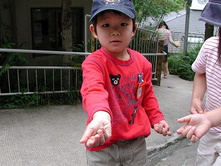 img0004.jpg