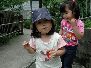 img0005.jpg