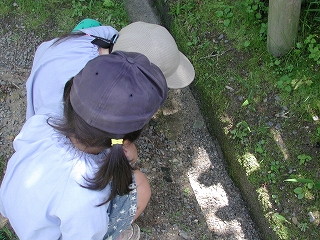 img0007.jpg