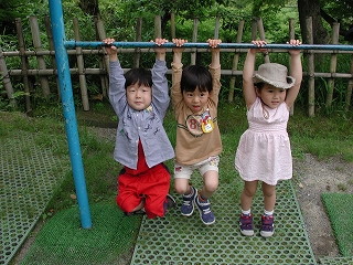 img0016.jpg