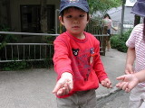 img0004.jpg