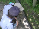 img0007.jpg