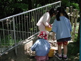 img0009.jpg
