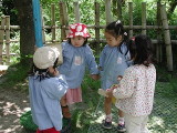 img0010.jpg