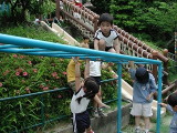 img0015.jpg