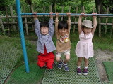 img0016.jpg