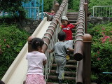 img0017.jpg
