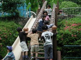 img0018.jpg