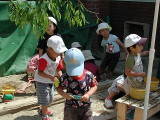 img0010.jpg