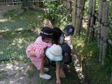 img0012.jpg