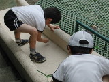 img0017.jpg