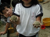 img0019.jpg